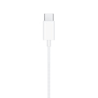 Apple Earphones USB-C