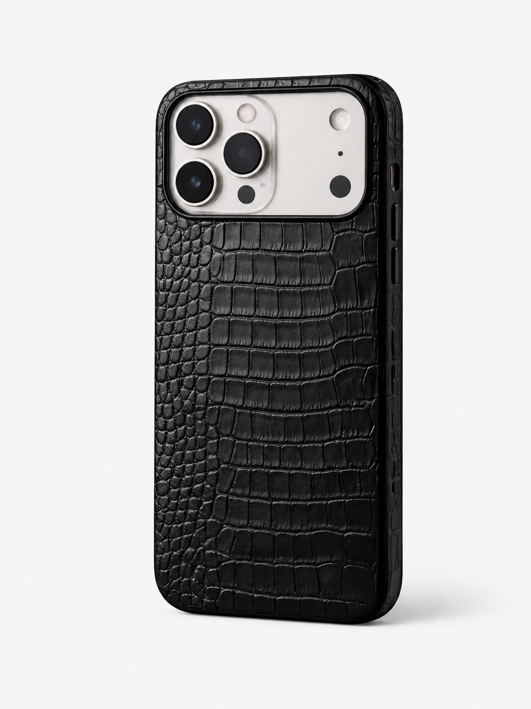 Leather Shine Snake Case