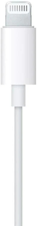 Apple Earphones lightning